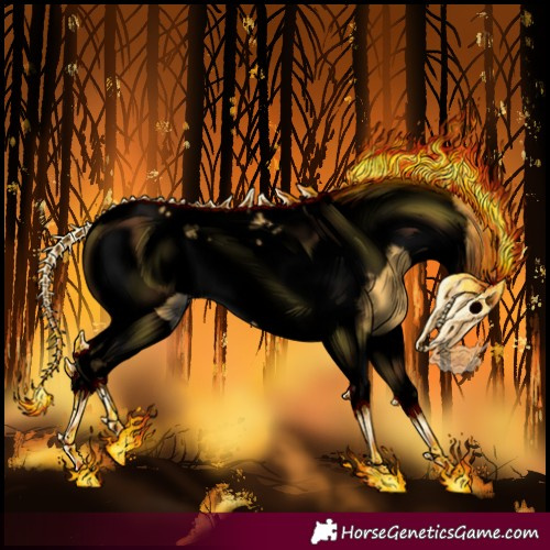 Horse Color:Void Palomino Tobiano Frame