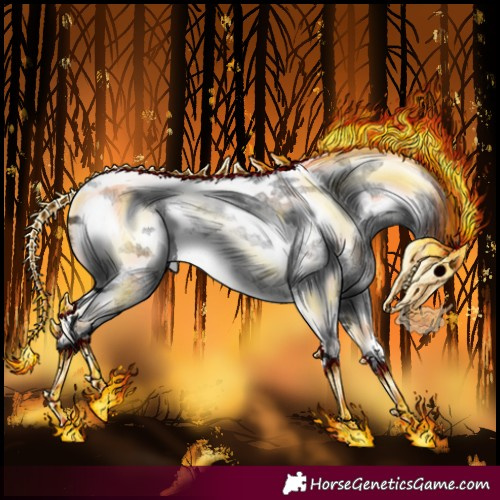 Horse Color:Blue Roan Tobiano Frame 