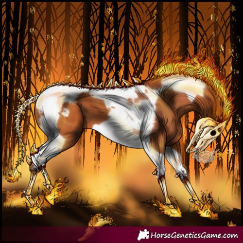 Horse Color:Silver Bay Tobiano Frame 