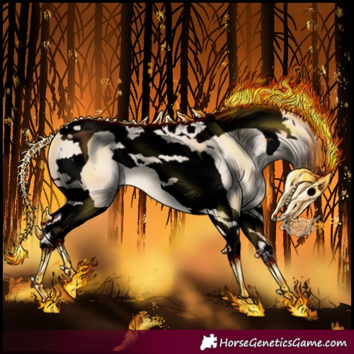 Horse Color:Void Cremello Tobiano 