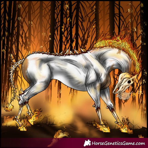 Horse Color:Buckskin Tobiano Frame 