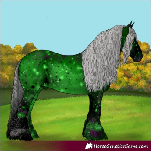 Horse Color:ERROR: UNKNOWN ANOMALY