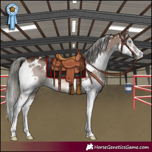 Horse Color:White Spotted Liver Red Dun Mushroom Splash 
