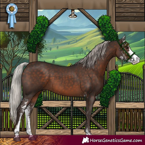 Horse Color:Silver Brown Sabino 