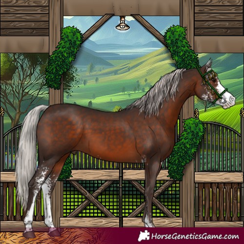 Horse Color:Silver Brown Sabino 