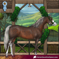 Horse Color:Silver Brown Sabino 