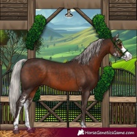Horse Color:Silver Brown Sabino 
