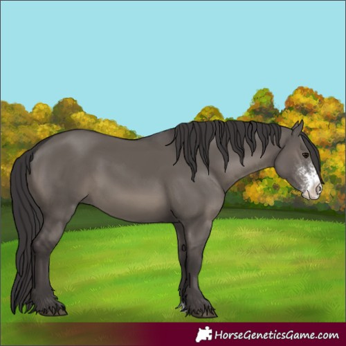 Horse Color:Smoky Grullo Sabino 