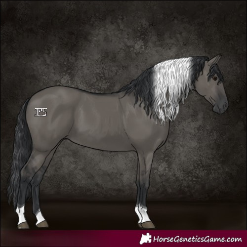 Horse Color:Grullo Tobiano 