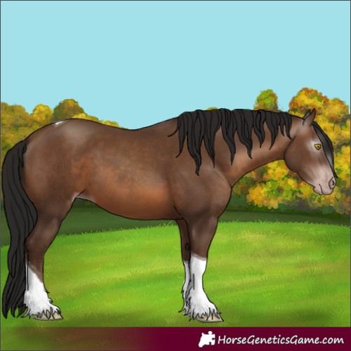 Horse Color:Gray Amber Champagne Tobiano 