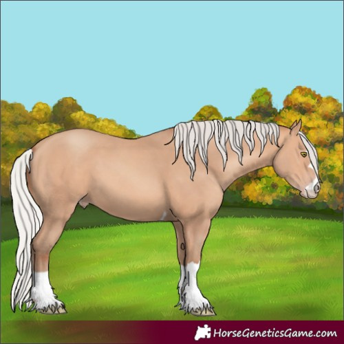 Horse Color:Silver Sable Champagne