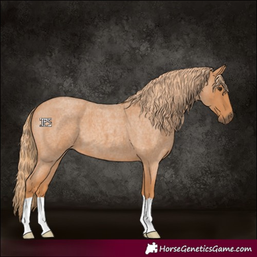 Horse Color:Red Roan 