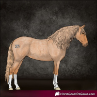 Horse Color:Red Roan