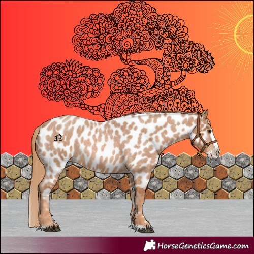 Horse Color:Red Roan Splash Near Leopard
