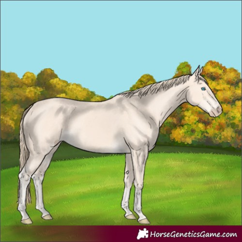 Horse Color:Perlino 