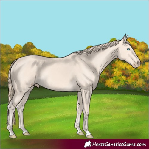 Horse Color:Perlino 