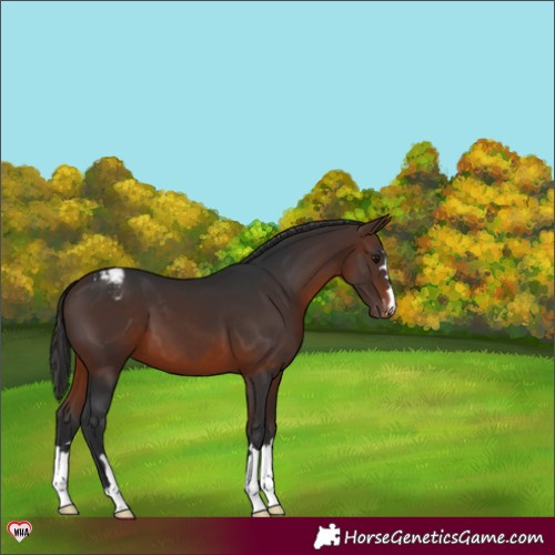 Horse Color:Brown Varnish 