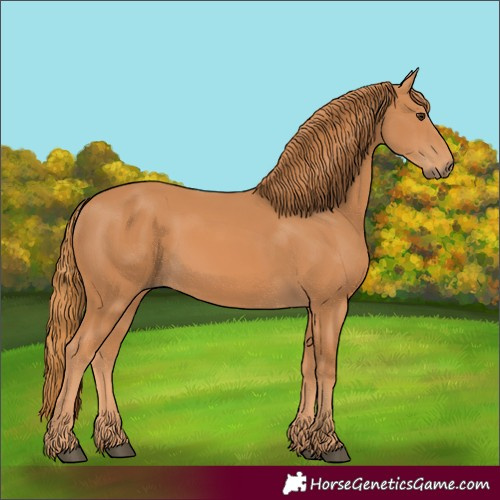 Horse Color:Chestnut 
