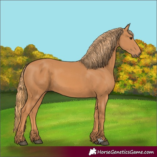Horse Color:Chestnut 