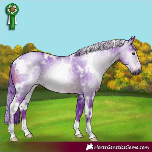 Horse Color:Gray Watercolor White Spotted Black Rabicano 