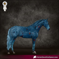 Horse Color:ERROR: UNKNOWN ANOMALY