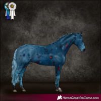 Horse Color:ERROR: UNKNOWN ANOMALY