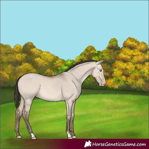 Horse Color:Sable Champagne Dun