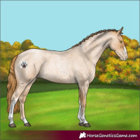 Horse Color:Red Roan Pearl Tobiano Frame 