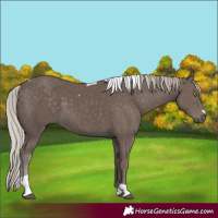 Horse Color:Silver Black Tobiano 