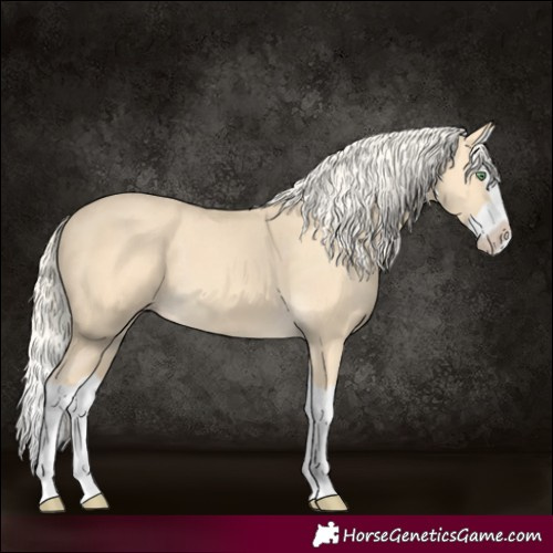 Horse Color:Gold Cream Champagne Splash 