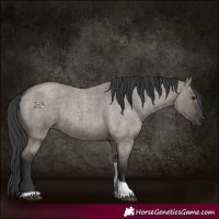 Horse Color:Grullo Roan Tobiano 