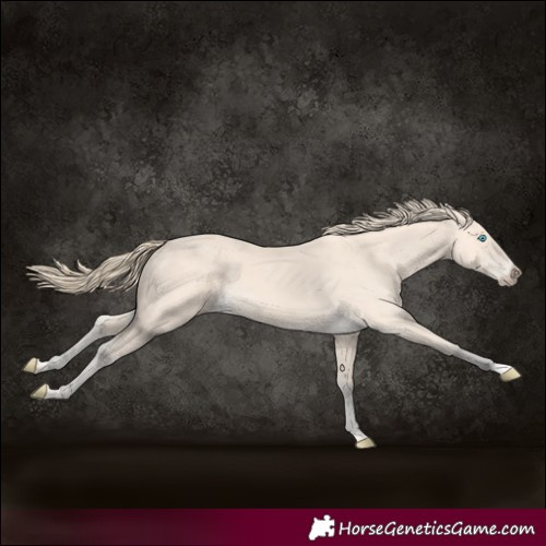 Horse Color:Perlino 