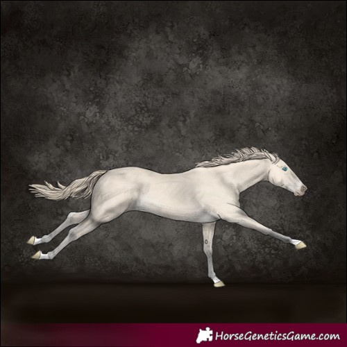 Horse Color:Perlino