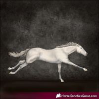 Horse Color:Perlino 