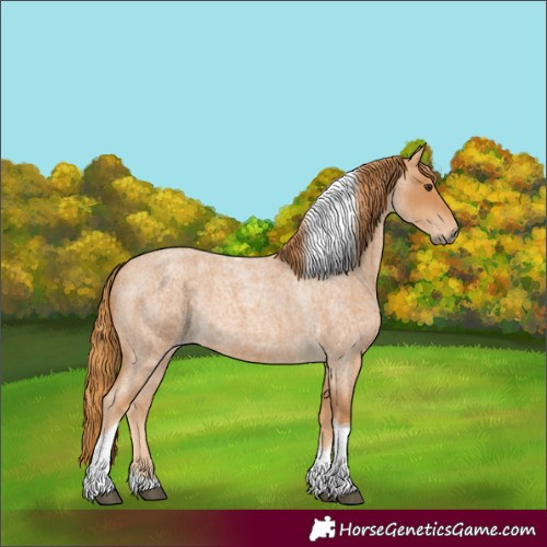 Horse Color:Red Roan Tobiano