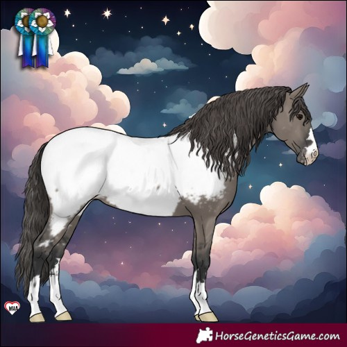 Horse Color:Grullo Near Fewspot 