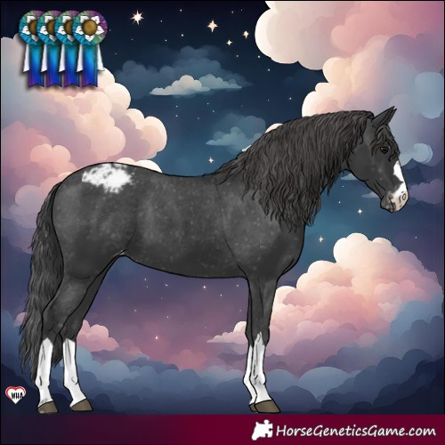 Horse Color:Black Varnish 
