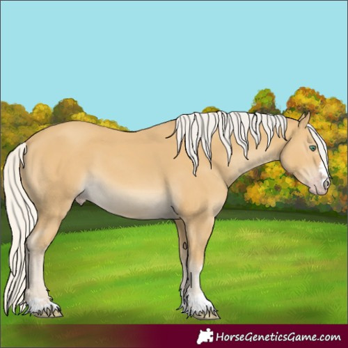 Horse Color:Silver Classic Cream Champagne 