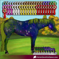 Horse Color:ERROR: UNKNOWN ANOMALY