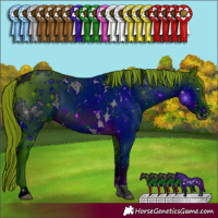 Horse Color:ERROR: UNKNOWN ANOMALY