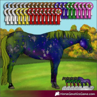 Horse Color:ERROR: UNKNOWN ANOMALY