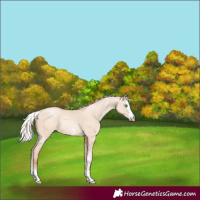 Horse Color:Silver Sable Champagne Pearl Dun Sabino 