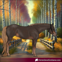 Horse Color:Liver Chestnut Rabicano 