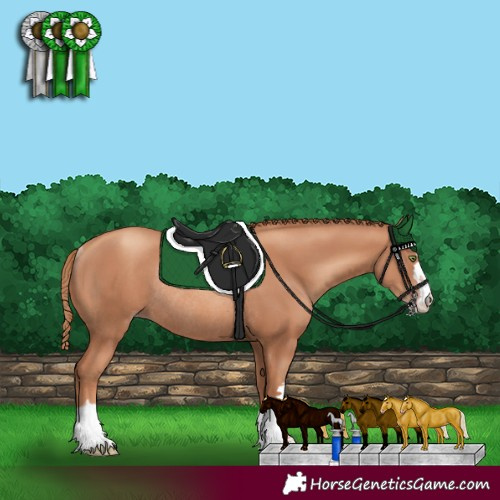 Horse Color:Gold Champagne Rabicano 