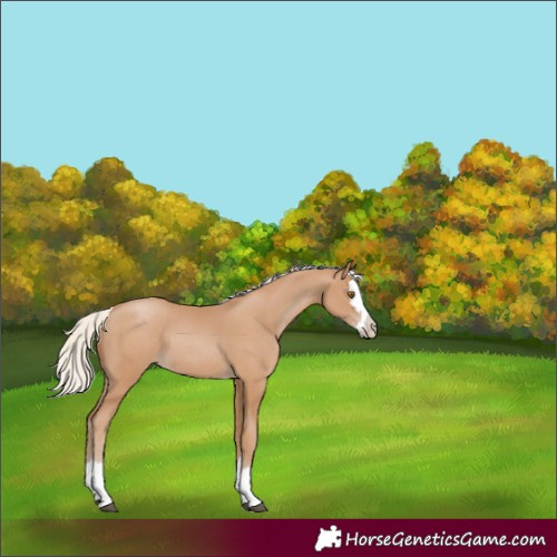 Horse Color:Silver Black Pearl Splash 