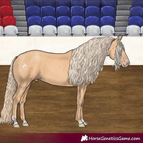 Horse Color:Gold Champagne 