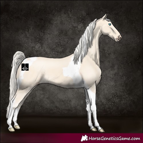 Horse Color:Cremello Tobiano 
