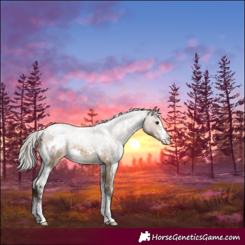 Horse Color:White Spotted Silver Brown Dun Sabino Varnish 