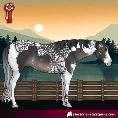 Horse Color:Black Sabino Tobiano 