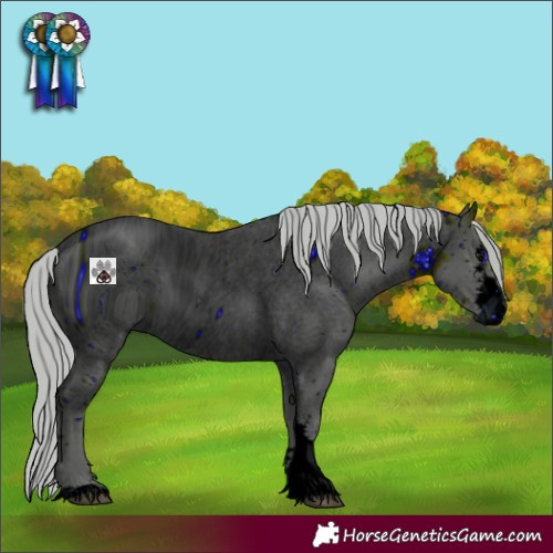 Horse Color:ERROR: UNKNOWN ANOMALY